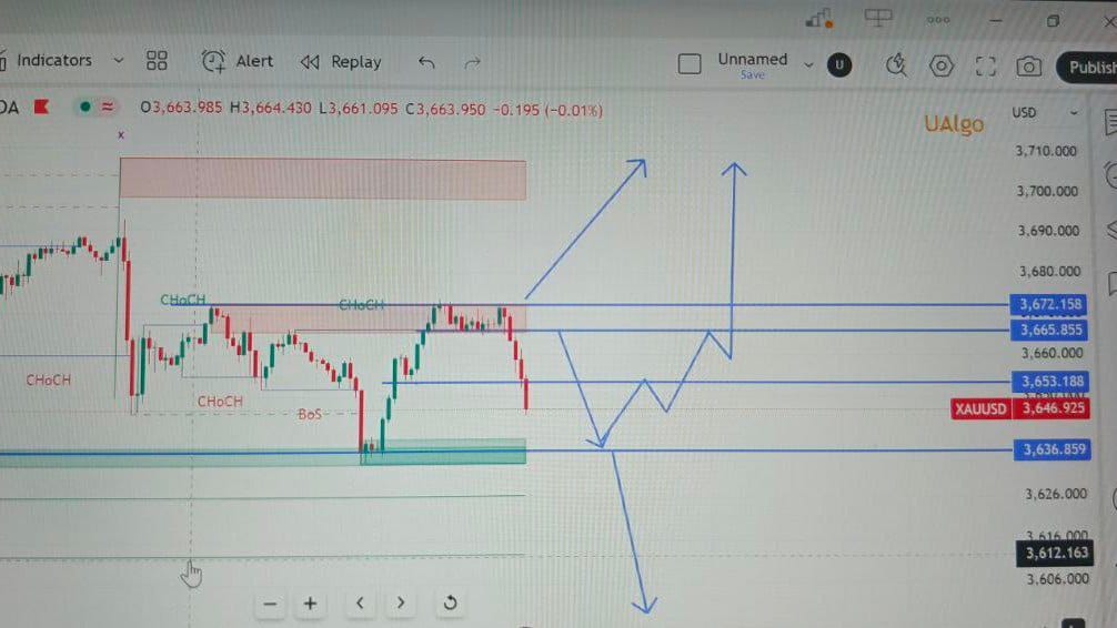 GOLD TRADER MO