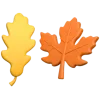 🍁