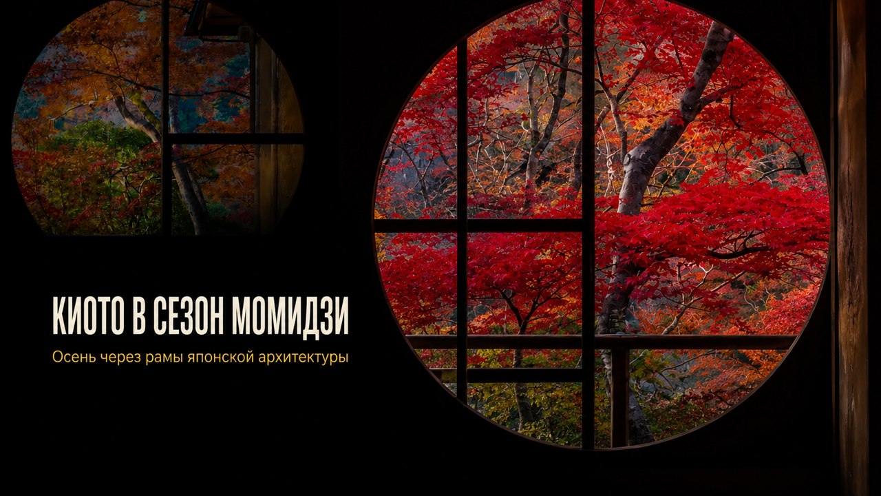 Садов | Геометрия мира