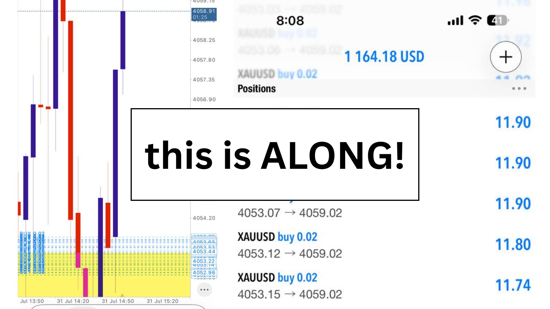 Along Gold Scalper