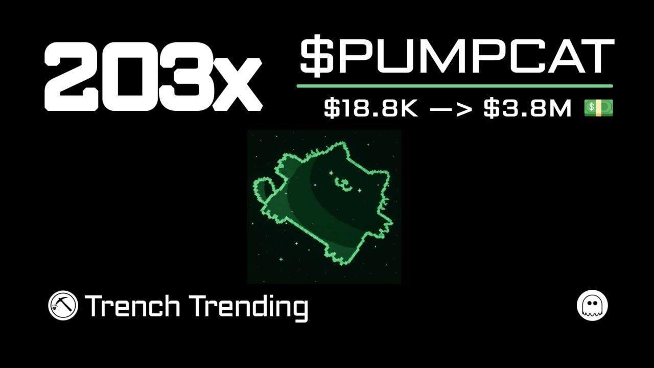 Trench Trending 💎⛏️