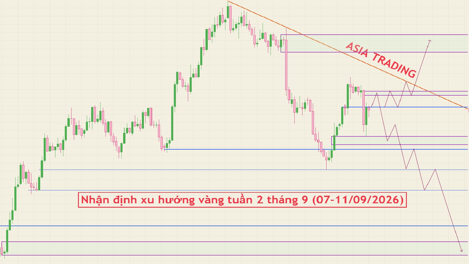 ASIA TRADING - Forex-Gold🇻🇳