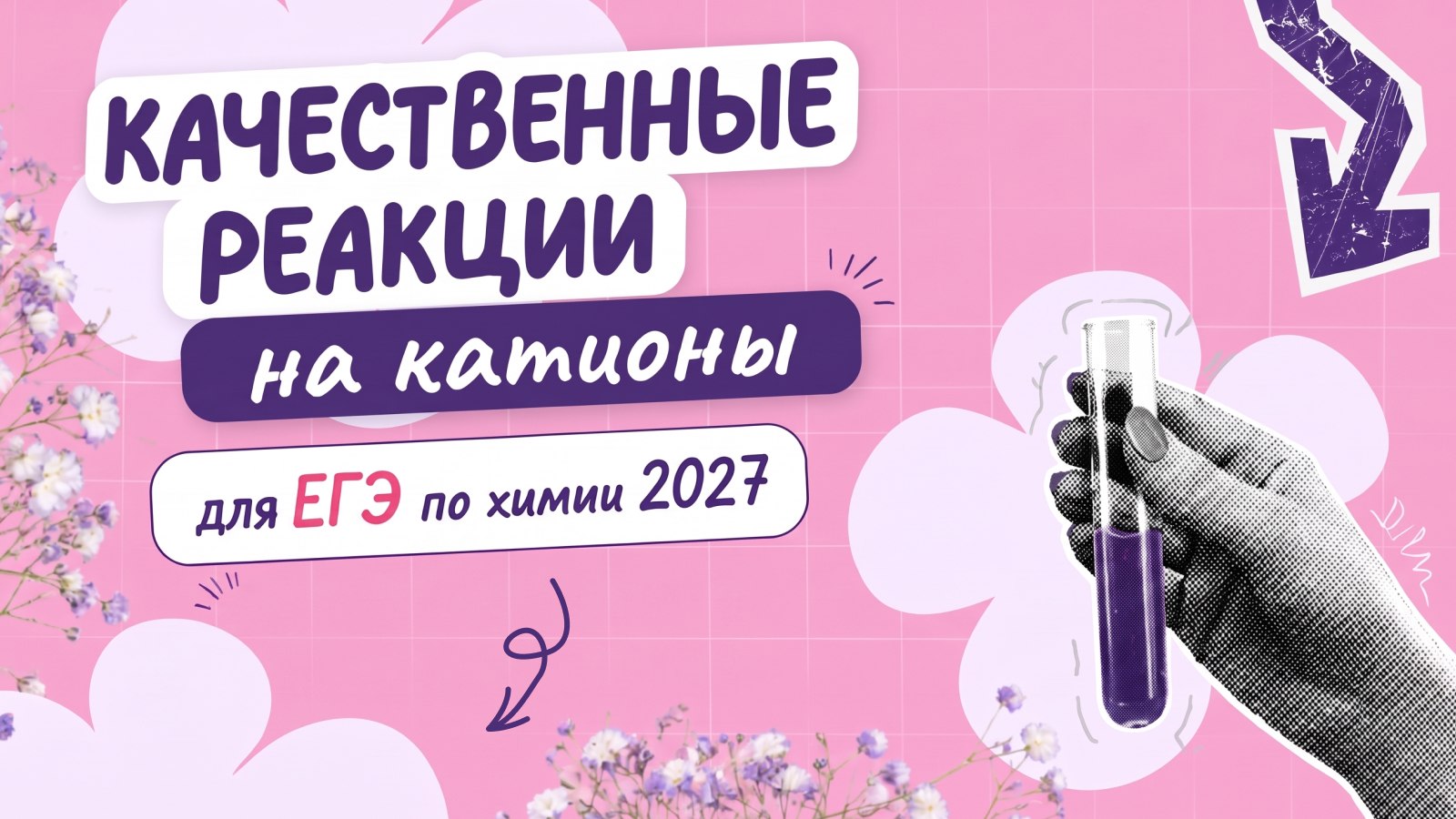химия и котики / ЕГЭ ОГЭ Стадикэтс