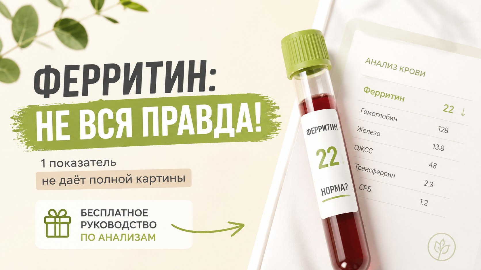 Надя Андреева - нутрициолог об энергии