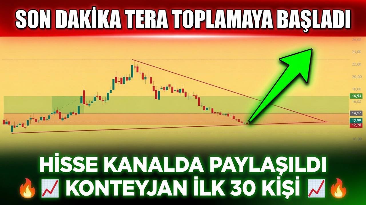 BALİNA TAKİP