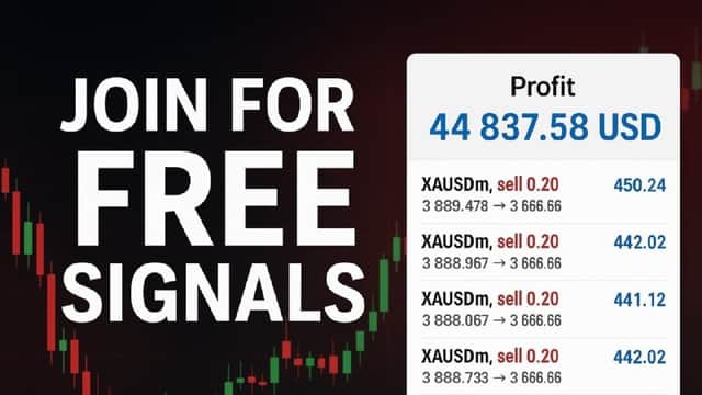 Mamba Forex Crypto Trade