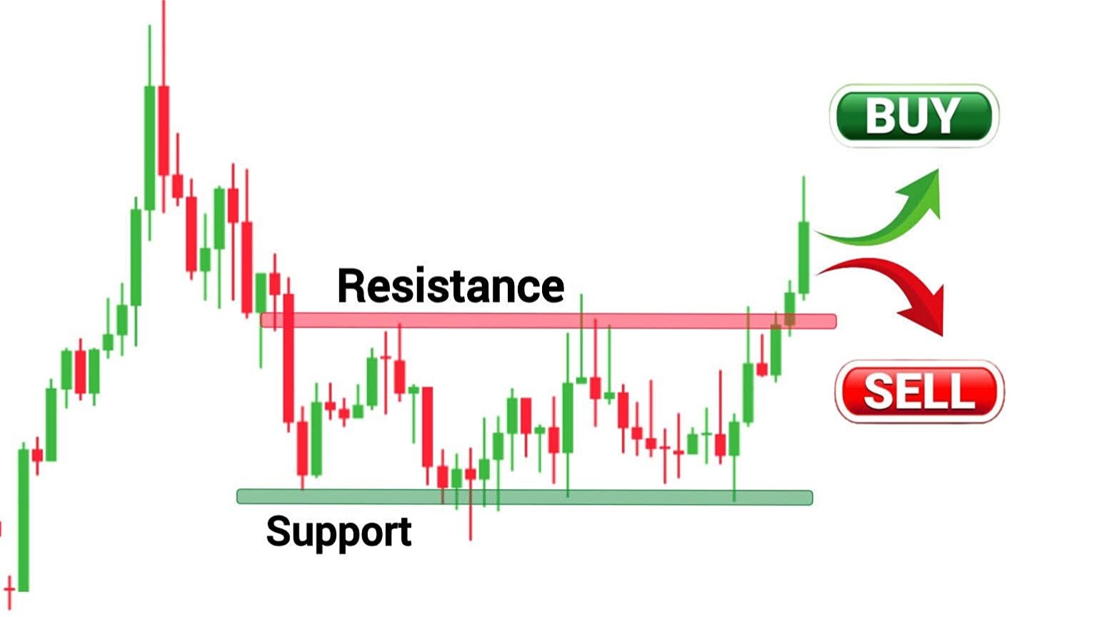 Fx Education Learn Hub