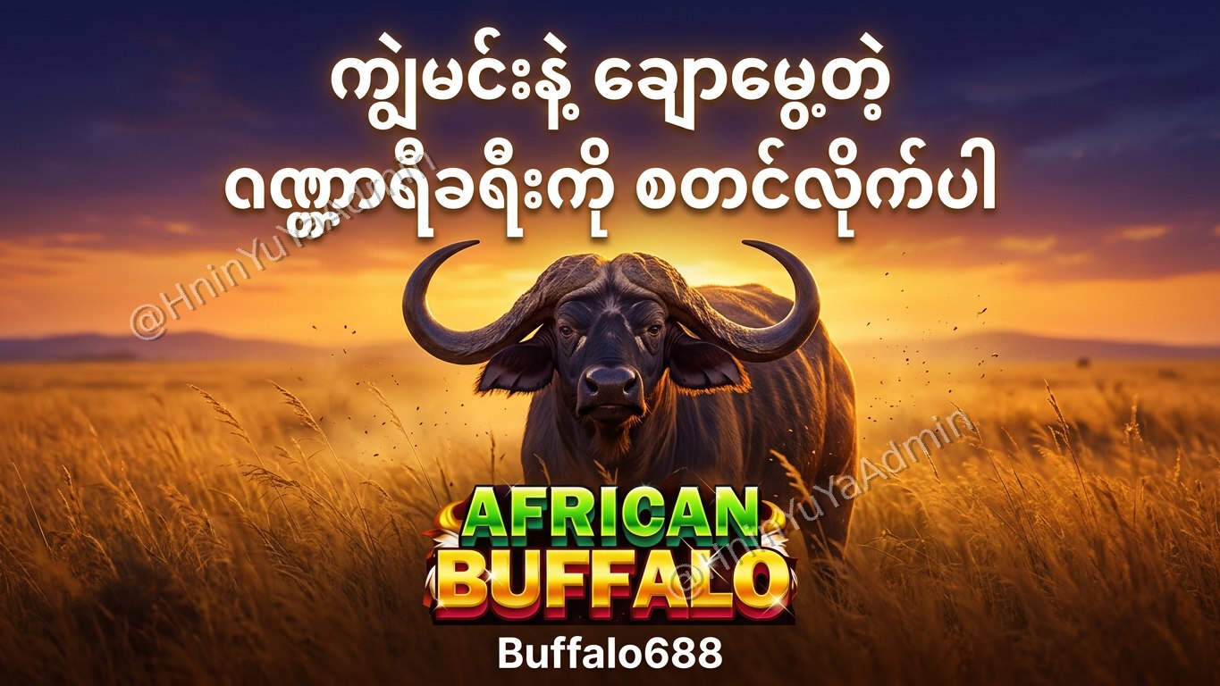 ကျွဲဂိမ်းအစစ် Buffalo688 ၊ကျွဲဘုရင် ၊ရှမ်းကိုးမီး၊ဘူကြီး