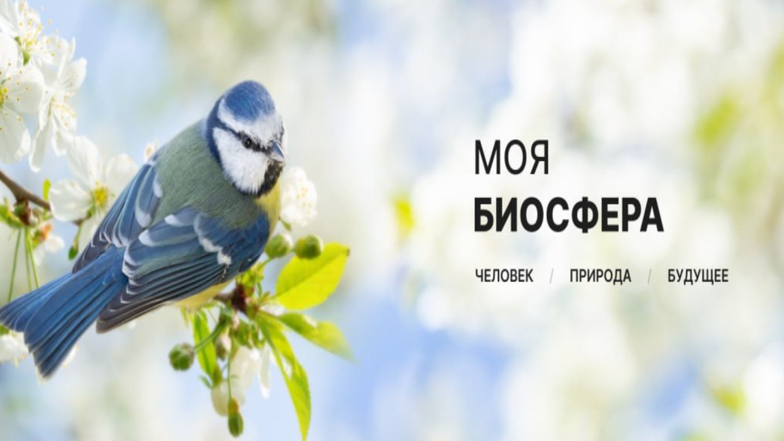 Моя Биосфера