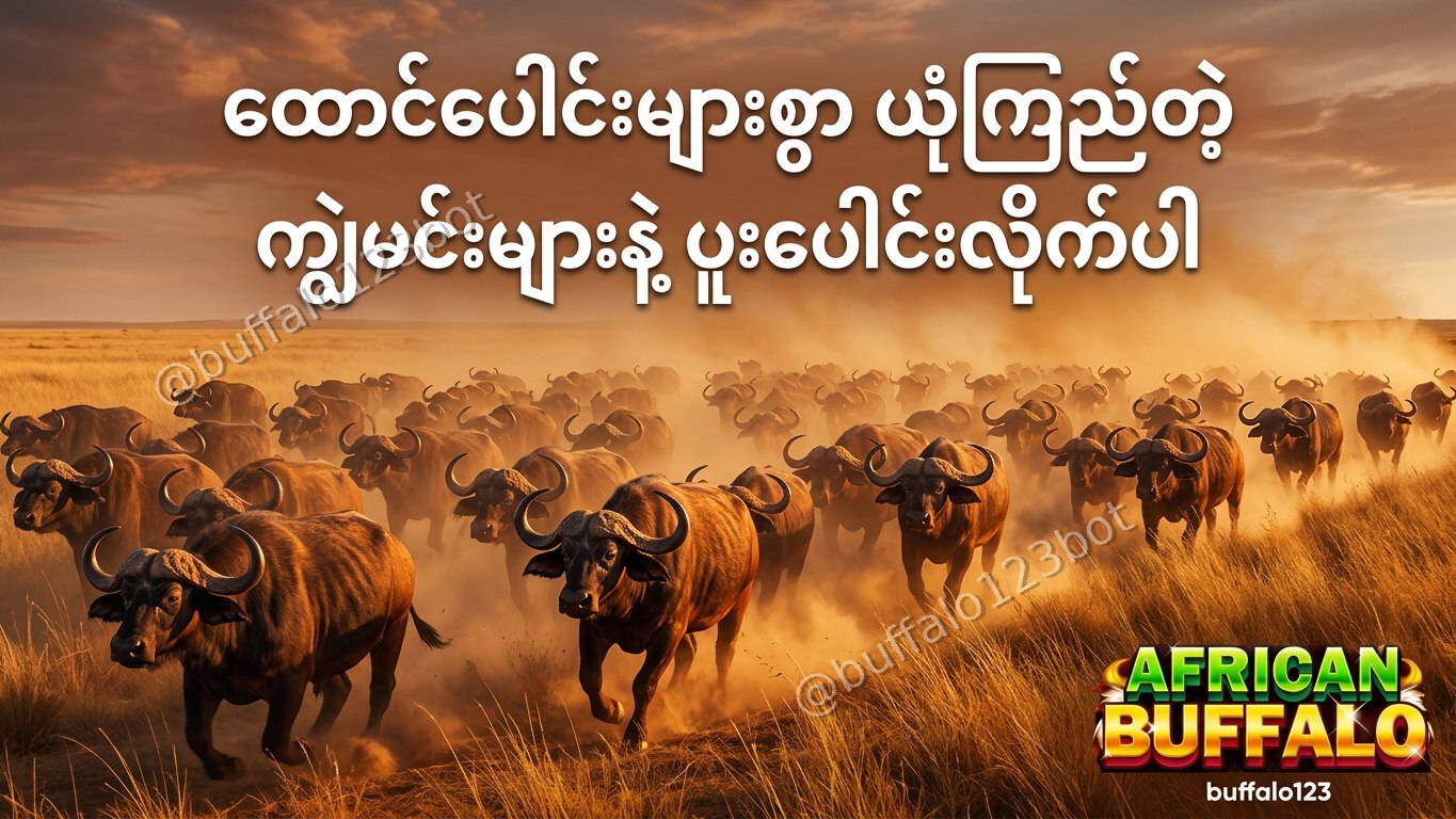 ကျွဲဂိမ်း Buffalo123 Official