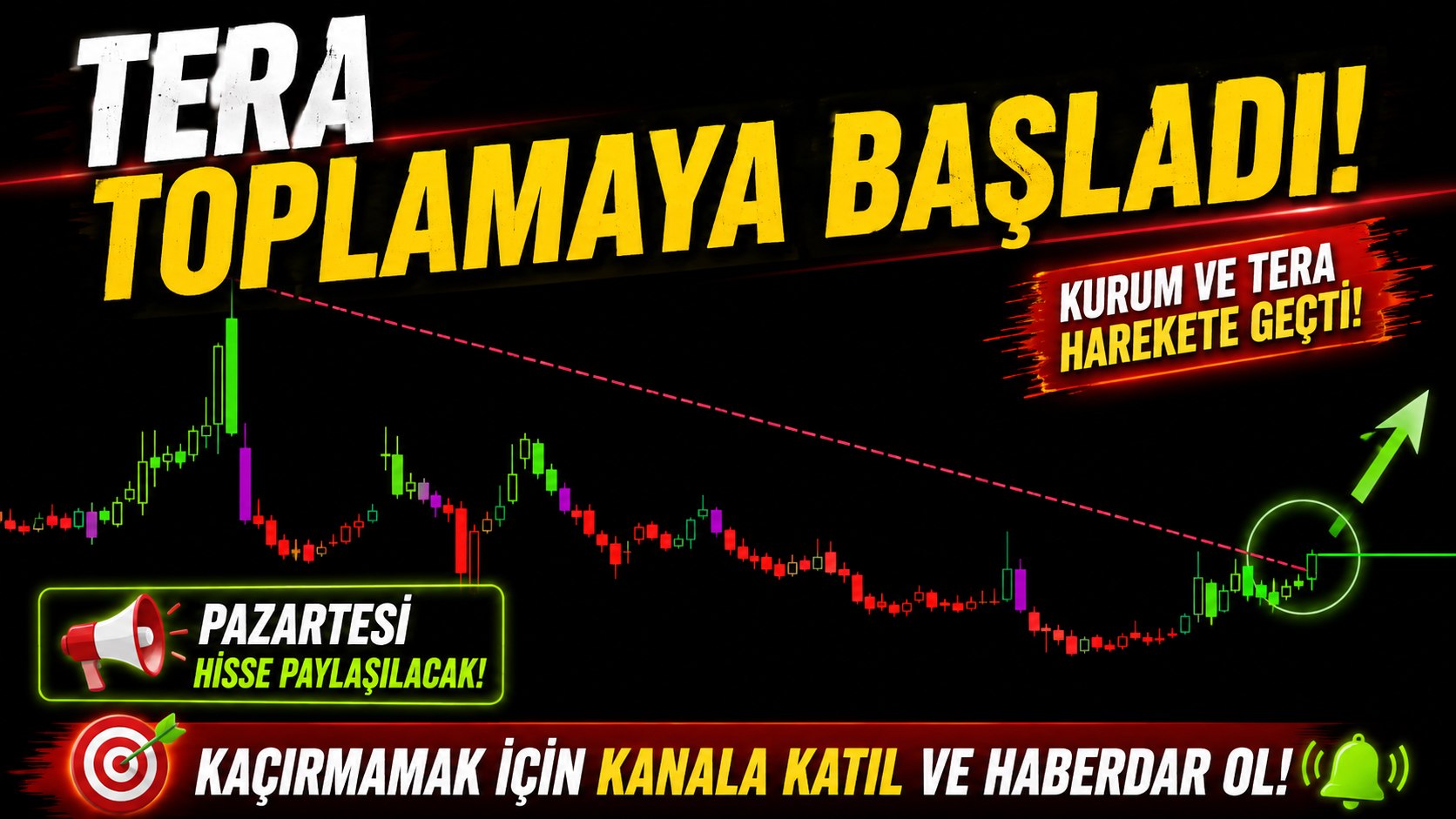 BALİNA TAKİP