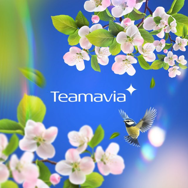@team_avia