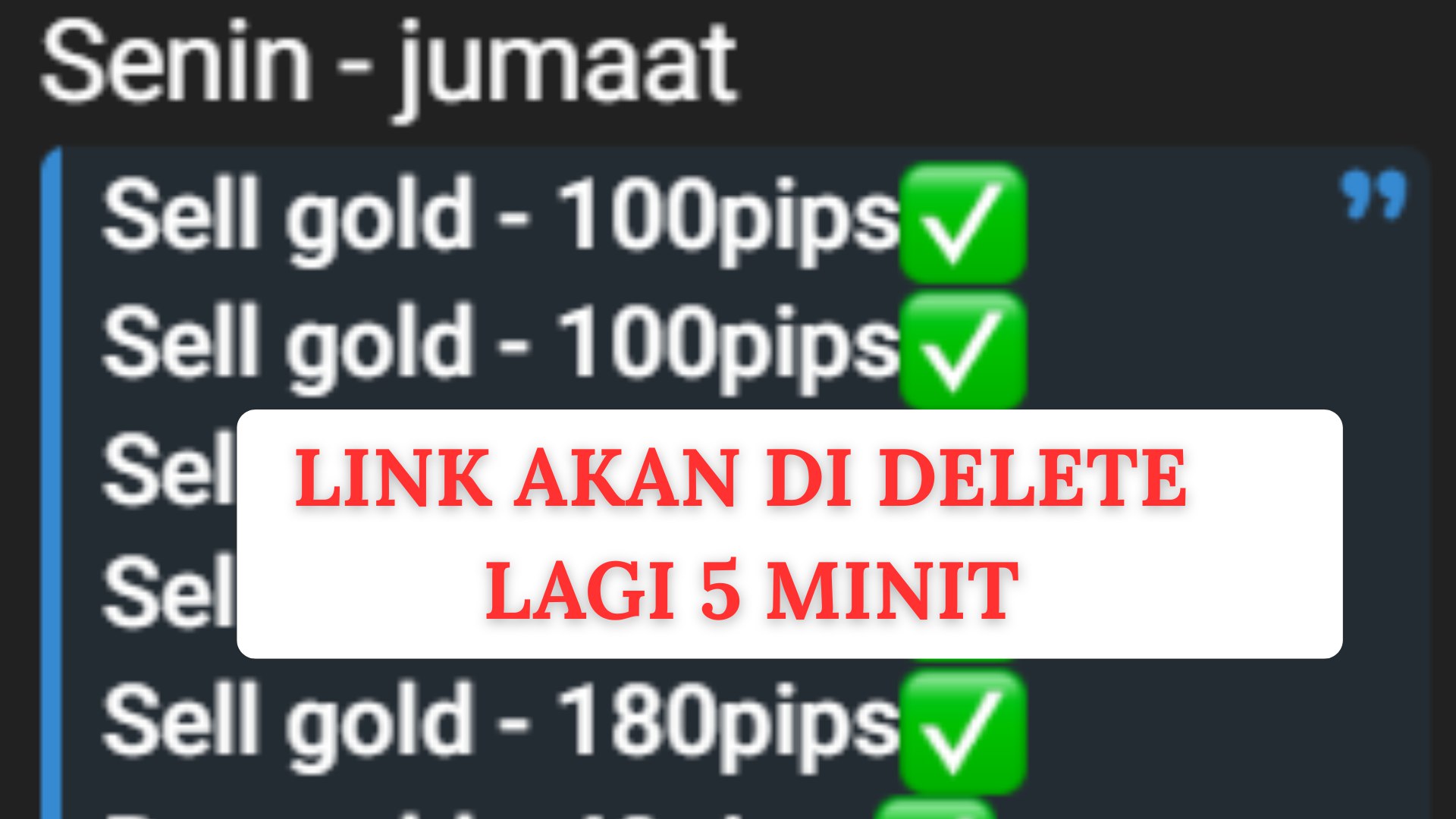 Along Gold Scalper