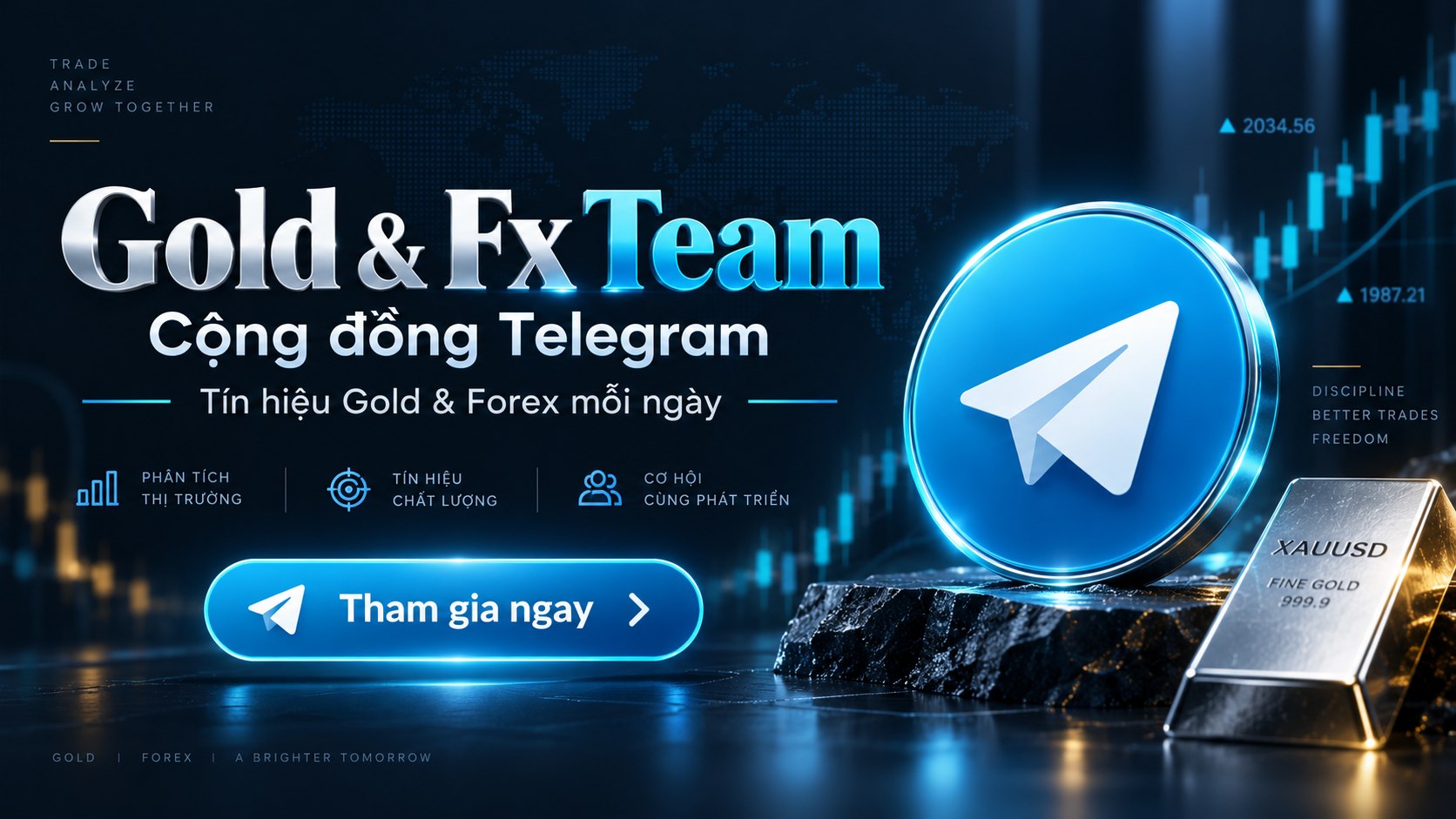 Gold & Fx Team