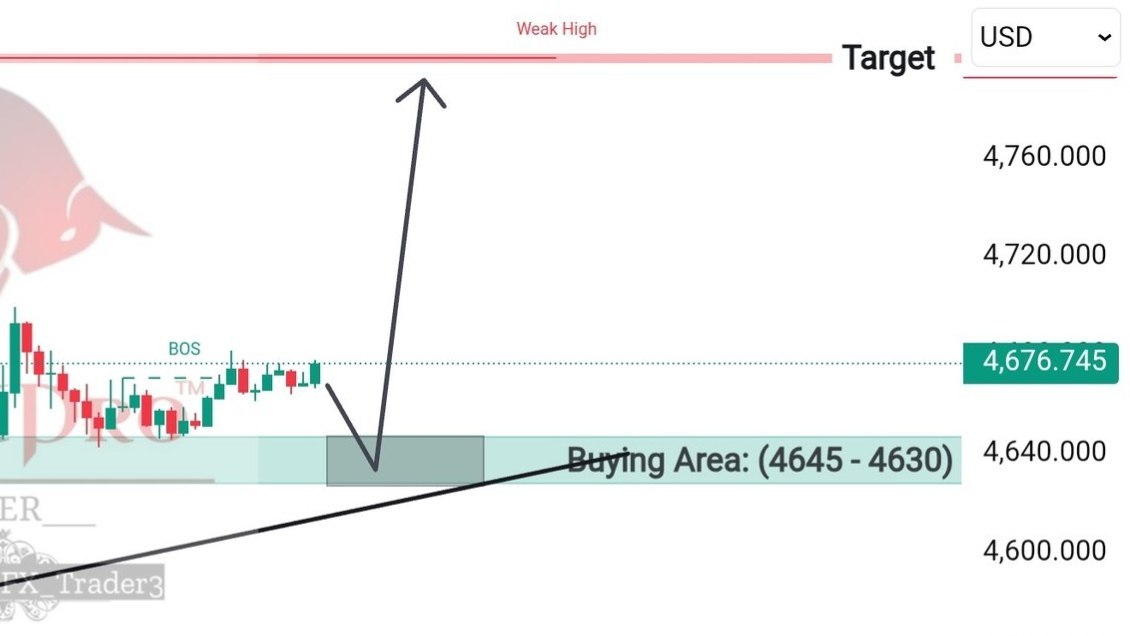 168FX Market Insights