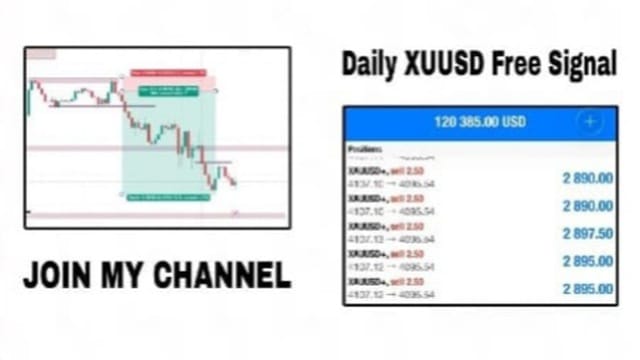 Gold Bull Trader