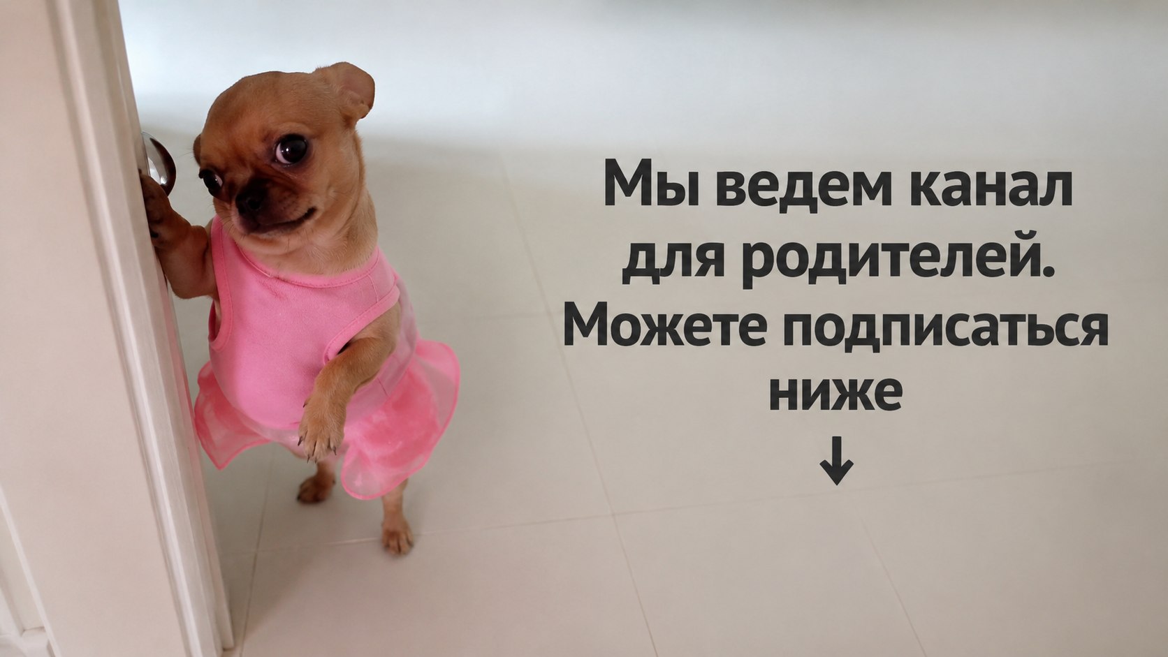Родитель на 100 баллов | 100балльный репетитор