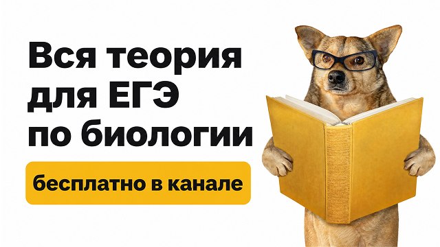 ноо — биология егэ