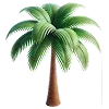 🌴