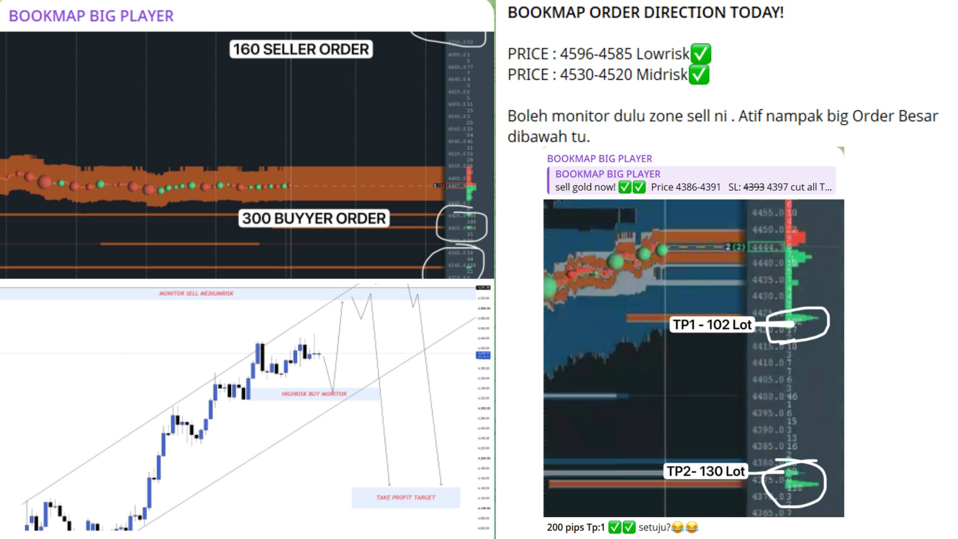 BOOKMAP BIG PLAYER